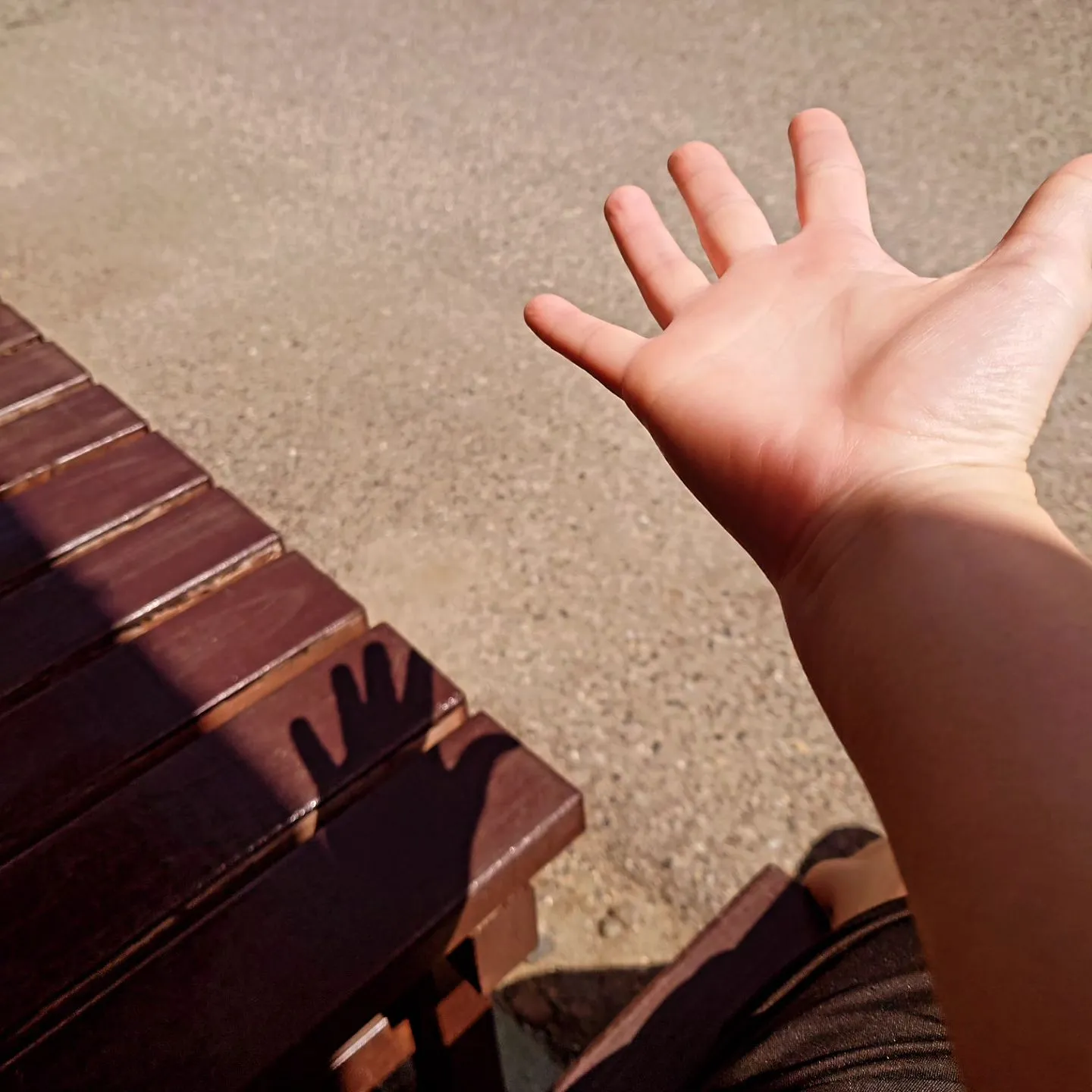 手のひら日光浴☀